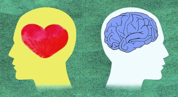 cerebro-racional-emocional1